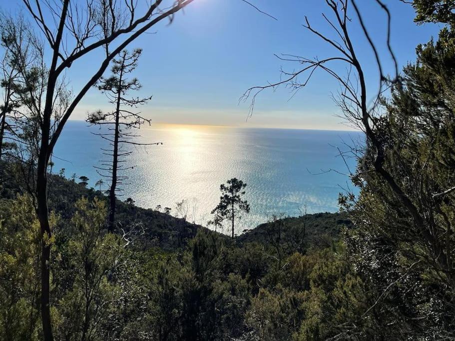 Beatrice Nel Centro Di Levanto Zewnętrze zdjęcie